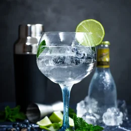 A glass of gin and tonic with mint, lime wedges and ice on a grey background