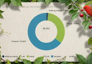 Storms klimarapport 2025
